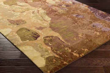 Close-up of a Farnworth Area Carpet. Hand-knotted wool rug in camel, dark brown, mauve, olive, and wheat colors. Contemporary style. Corner