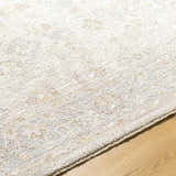 Close-up of the Feray Thick Luxe Area Rug showing its plush texture, cloud gray color, and traditional pattern on wood flooring. Texture