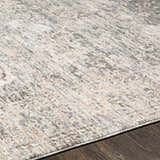Close-up of the Guiwanon Area Rug, a cream, gray, and peach farmhouse style rug with a traditional pattern. Texture