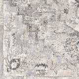Close-up of the Hagdan Thick Luxe Rug, showcasing its traditional gray, cream, and beige oriental pattern and plush texture. Swatch