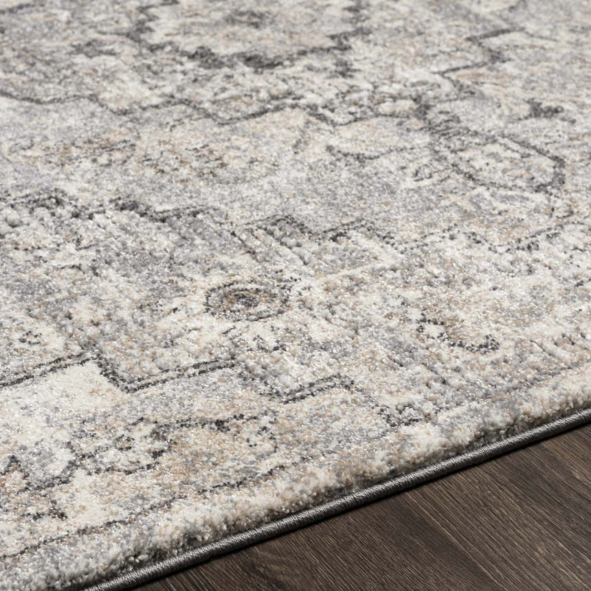 Close-up of the Hagdan Thick Luxe Rug showing cream, gray, and light beige traditional pattern and plush texture. Texture