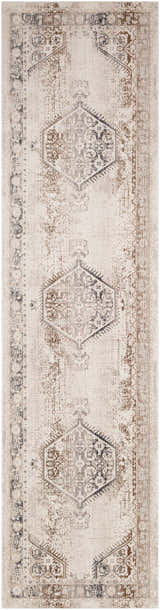 Close-up of Hainesville White Medallion 10' Runner Rug. Farmhouse style with traditional medallion pattern in neutral beige and brown tones. Design-Runner-295