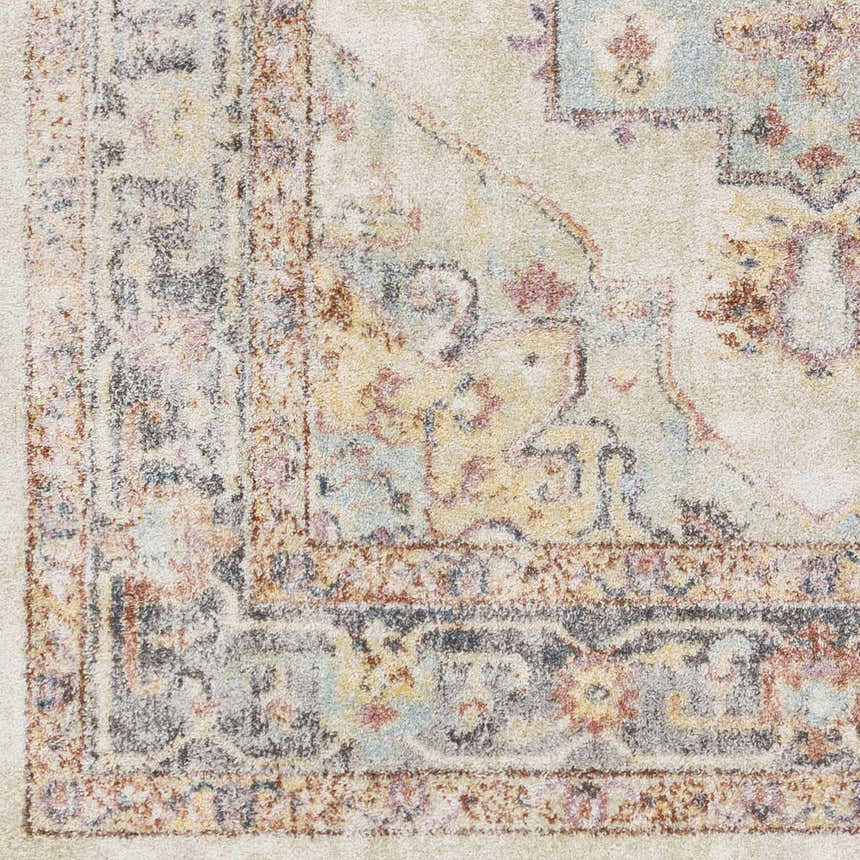 Close up of the Hillcrest Area Rug showing beige, blue, and rust traditional pattern. Swatch