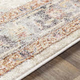 Close-up of the Hillcrest Area Rug showing beige, rust, and gray hues with a traditional, slightly distressed pattern. Texture