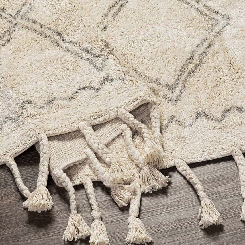 Close-up of the cream Harvester Area Carpet showing its geometric design, plush texture, and braided tassel fringe detail. Fold