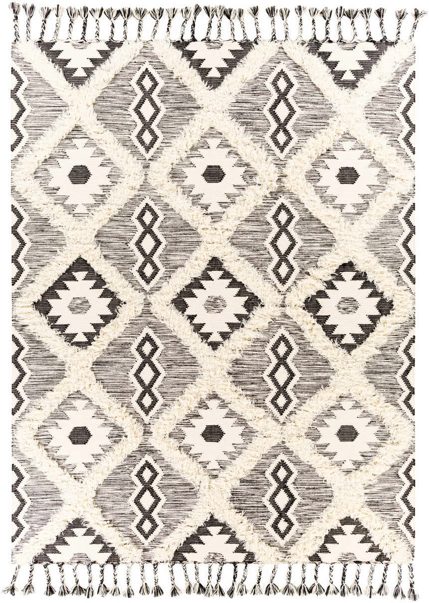 Close-up of the Jarales Cream/Black Tribal Tassel Wool Rug. Hand-woven rug with geometric patterns and fringe tassels. Design-Rectangle-810