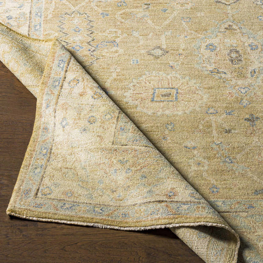 Close-up of the Karalee Handmade Wool Area Rug showing beige, blue, and brown oriental-inspired pattern and hand-knotted texture. Fold