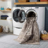 Laundry room scene with Kingscourt Washable Area Rug in the washing machine, showing its cream, brown, and oriental design. Washing-Machine