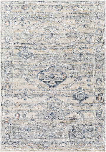 Close-up of the Layhill Area Rug; a distressed traditional pattern in cream, denim, gray, and brick red. Design-Rectangle-579
