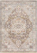 Detailed LeChee Area Rug - Clearance with a traditional oriental pattern in brick red, brown, gray, and blue hues. Design-Rectangle-58