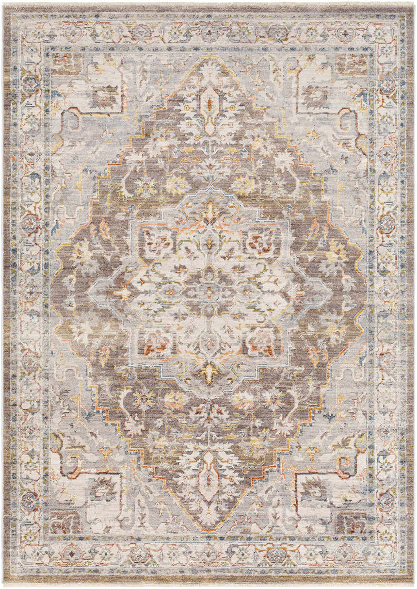 Detailed LeChee Area Rug - Clearance with a traditional oriental pattern in brick red, brown, gray, and blue hues. Design-Rectangle-58