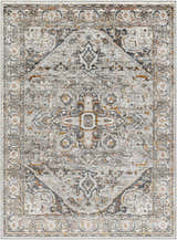 Detailed close-up of the Liverpool Dark Gray Area Rug, showcasing its traditional charcoal, gray, and rust colored medallion pattern. Design-Rectangle-537