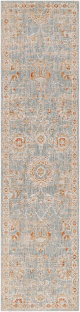 Close-up of the Mangham Thick Luxe Area Rug, featuring a traditional pattern in blue, beige, and rust tones. Design-Runner-2710