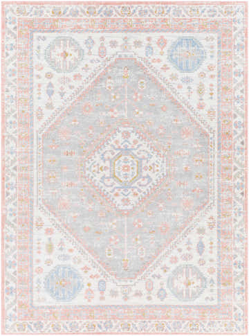 Close-up of Maha Washable Area Rug. Traditional farmhouse style with bone, driftwood, mocha, and steel colors. Design-Rectangle-537