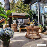 Outdoor patio scene with Limbo Beige area rug, wicker furniture, potted plants, and a cozy, inviting atmosphere. Roomscene-Rectangle
