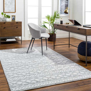 Farmhouse home office with Meng Area Rug in charcoal, light gray, and dark gray. Transitional style with desk, chair, and wood floors. Roomscene-Rectangle