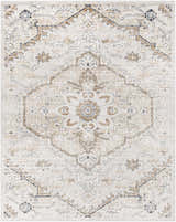 Close-up of the Mudgee Area Rug. Machine-woven polypropylene rug in charcoal, cream, light beige, light gray, and tan. Oriental style. Design-Rectangle-7996