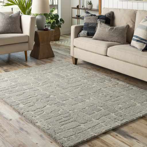 Living room scene with a light beige sofa and the light gray Posof Area Rug on hardwood floors. Roomscene-Rectangle