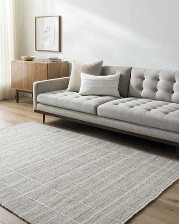 Living room with a gray sofa and the light gray Nissa Checkered Area Rug on a wood floor. Roomscene-Rectangle