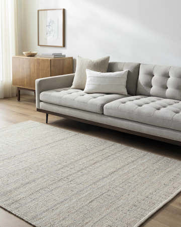Living room with gray sofa, wood cabinet, and tan woven Nissa Tan Area Rug. Roomscene-Rectangle