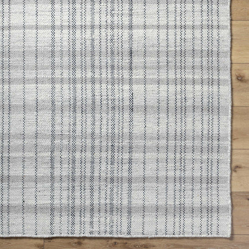 Close-up of the hand woven Nissa Blue Gray Checkered Area Rug showing its light silver, sage, and slate blue tones. Corner