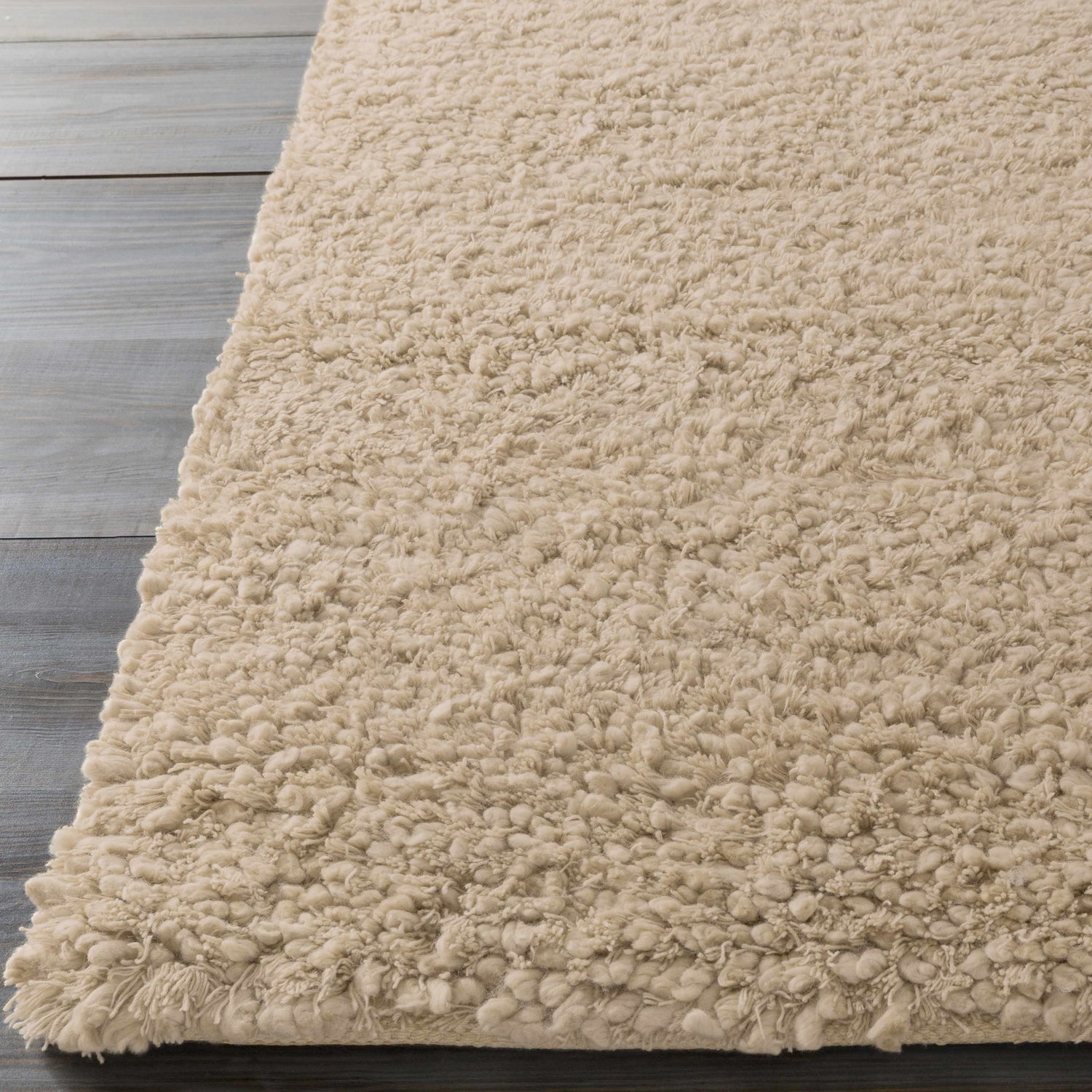 Close-up of the beige Needham Premium Wool Area Rug showing its thick, hand-woven texture. Front