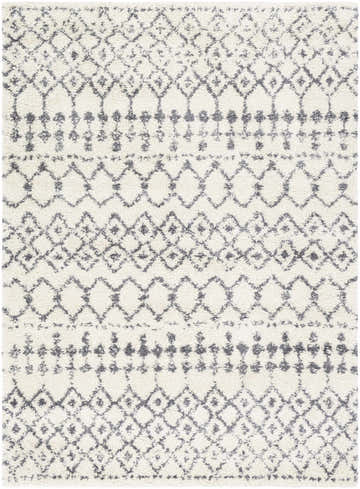 Close-up of the White Gray Navassa Rug with a geometric bohemian pattern and soft shag texture. Design-Rectangle-5373
