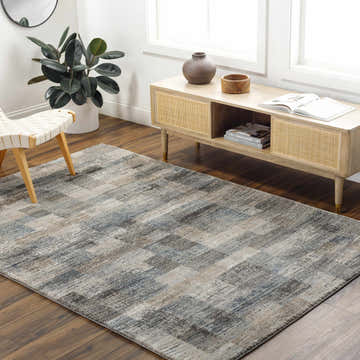 Living room scene with gray Ohtli Mosaic Luxe rug, wood floors, media cabinet, chair, and plant. Modern, neutral decor. Roomscene-Rectangle