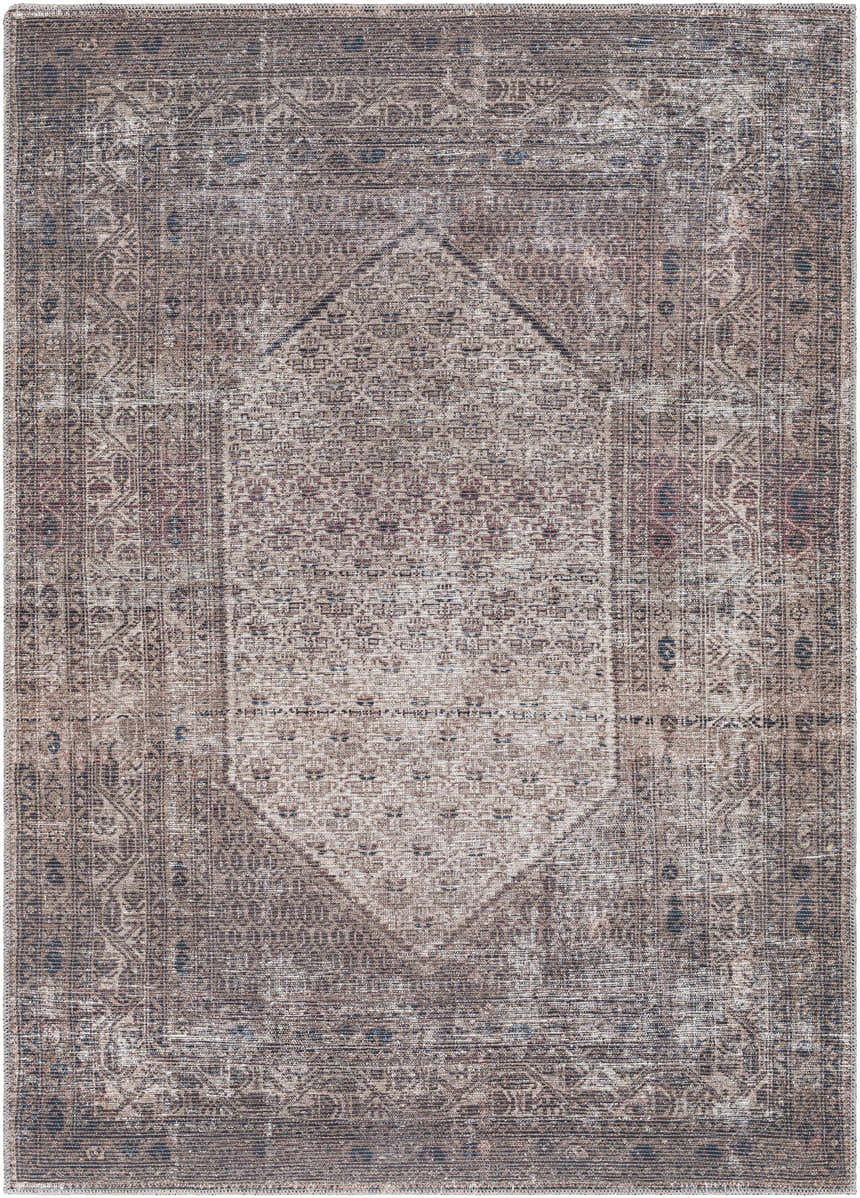 Close-up of the Tan Ormstown Distressed Washable Area Rug, showcasing its oriental pattern and neutral tan, blue, and red tones. Design-Rectangle-46