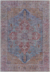 Close-up of the Otaki Washable Area Rug, featuring a traditional oriental design in gray, blue, red, and brown tones. Design-Rectangle-5373