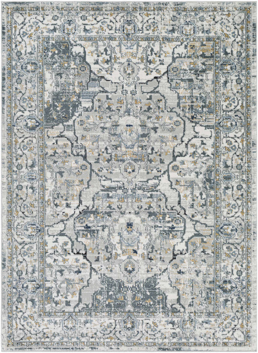 Close-up of the Parcoal Area Rug: beige, blue, and gray tones in a traditional, distressed Oriental pattern. Design-Rectangle-5373