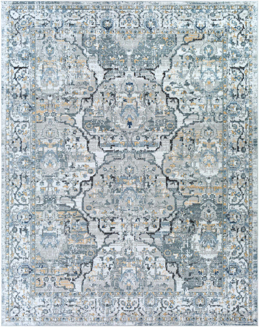 Detailed Parcoal Area Rug close-up. Bohemian style rug in beige, blue, gray, and peach tones. Traditional pattern. Design-Rectangle-71010