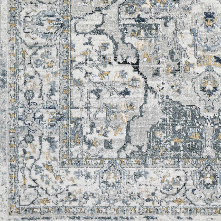 Close-up of Parcoal Area Rug showcasing its beige, blue, and gray traditional, oriental-inspired pattern. Swatch