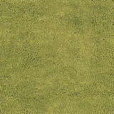 Close-up of the Frederika Solid Olive Green Wool Shag Rug, showing its texture and color. Hand woven rug. Swatch