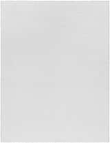 Close-up of a white, shag Piedmont Area Rug. The rug has a soft, textured surface. Design-Rectangle-710103