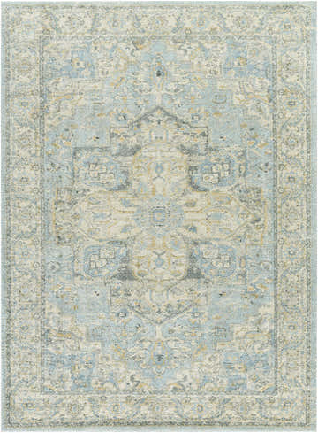 Close-up of the Akshay Beige Thick Luxe Area Rug, showcasing its traditional pattern and soft beige, blue, and gray tones. Design-Rectangle-6792