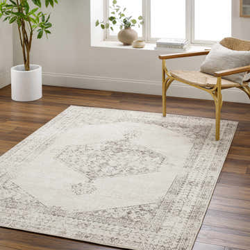 Living room scene with medium gray PNW Home Olympic Updated Traditional Area Rug, wood floors, and woven chair. Roomscene-Rectangle