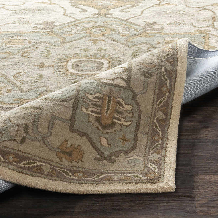 Close-up of the Broomfield Hand Tufted Sage 1143 Area Rug showing the beige, sage, brown, and gray traditional pattern. Fold