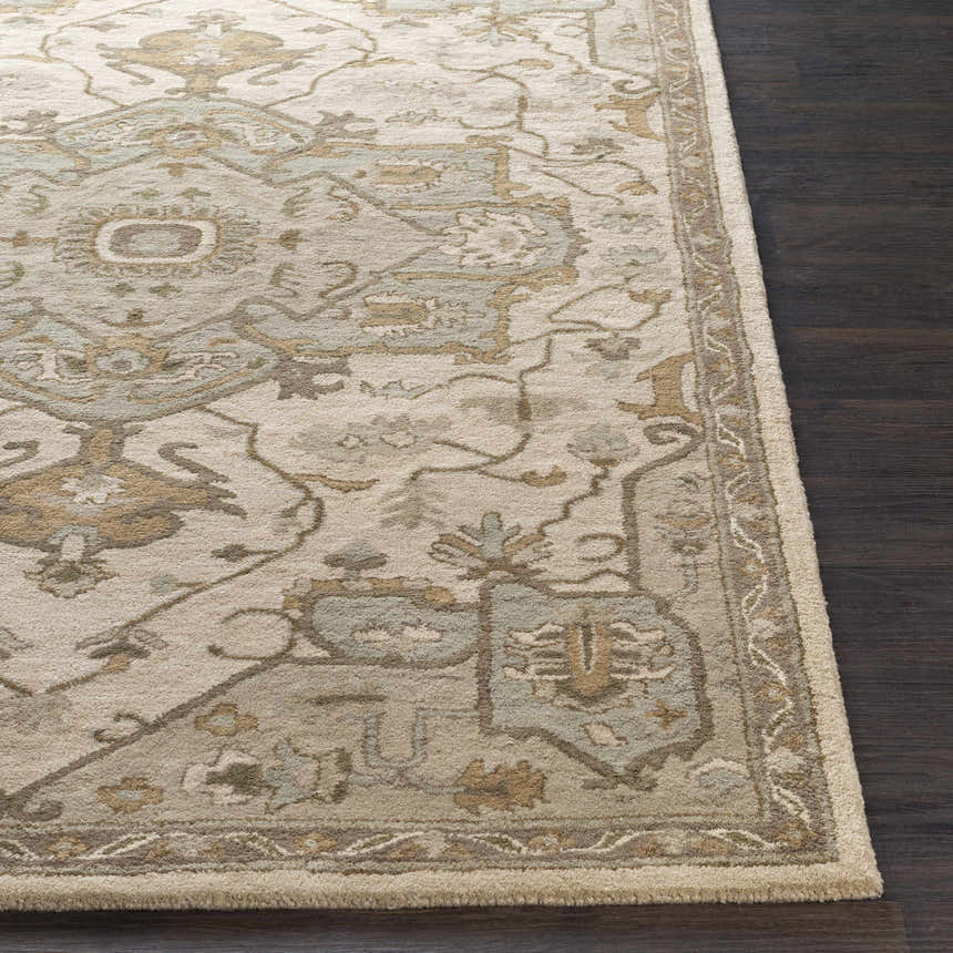 Close-up of Broomfield Hand Tufted Sage 1143 Area Rug. Wool rug with beige, sage, and brown traditional design. Front