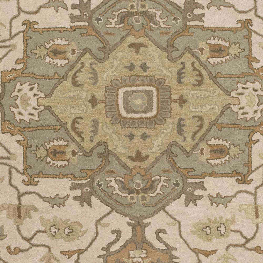 Close-up of the Broomfield Hand Tufted Sage 1143 Area Rug featuring beige, sage, and brown traditional patterns. Swatch