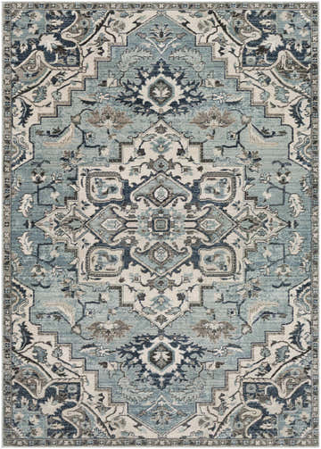 Detailed view of the Pukwana Area Rug, featuring a traditional blue, gray, and cream oriental pattern. Design-Rectangle-5174