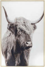 Paratinga Wall Decor