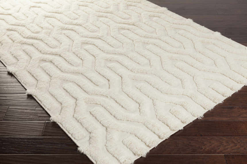 Close up of a cream Ransom Area Rug showing the shag texture and geometric pattern. Corner
