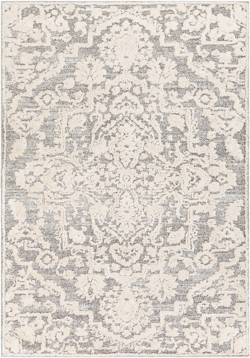 Close-up of the Rockeagle Area Rug. Beige and gray tones create a traditional, bohemian pattern. Machine woven texture. Design-Rectangle-5373