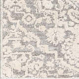 Close-up of the Rockeagle Area Rug, showcasing its beige and charcoal traditional pattern and soft, textured weave. Swatch