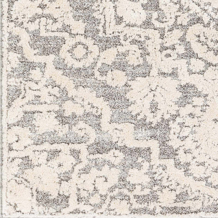 Close-up of the Rockeagle Area Rug, showcasing its beige and charcoal traditional pattern and soft, textured weave. Swatch