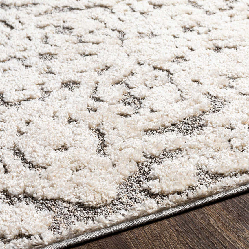 Close-up of the Rockeagle Area Rug. Beige and charcoal bohemian pattern with a soft, textured pile. Texture