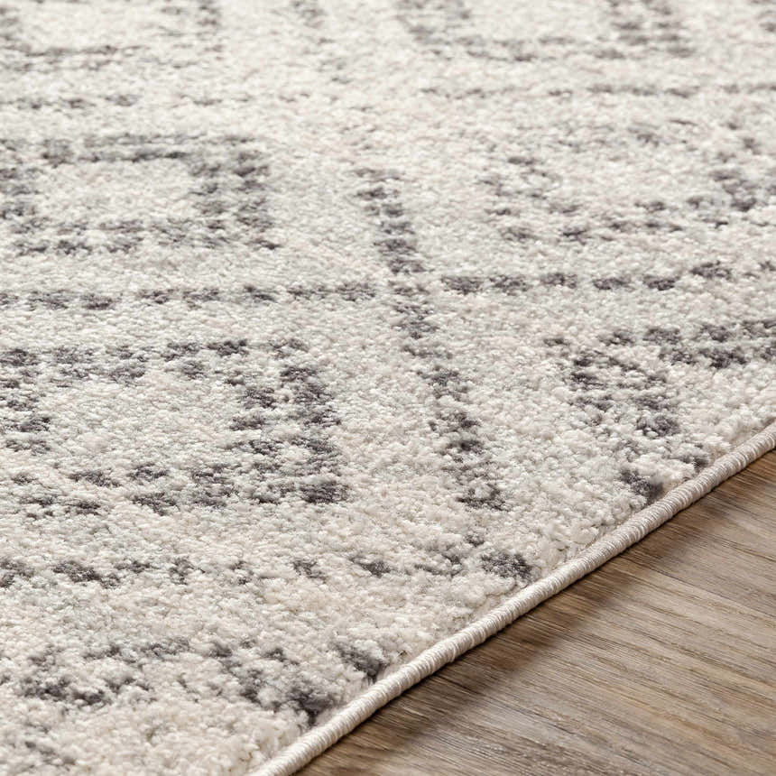 Close-up of the Romeoville Area Rug. Charcoal and gray bohemian pattern on a soft, machine-woven polypropylene rug. Texture