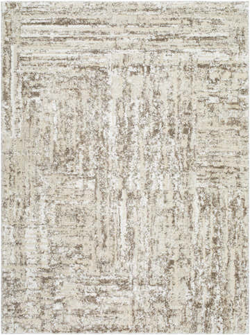 Close-up of the Roald Cream Area Rug. Features a light silver and sterling gray distressed pattern. Farmhouse style. Design-Rectangle-5373