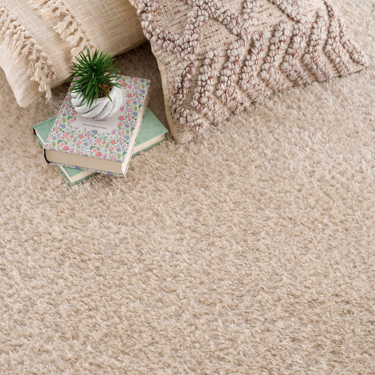 Close-up of the Heavenly Dark Beige Area Rug, a plush shag rug with books, pillows, and a small plant. Styleshot